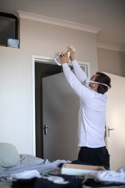 Best Real Estate Mold Inspection  in Mcconnelsville, OH