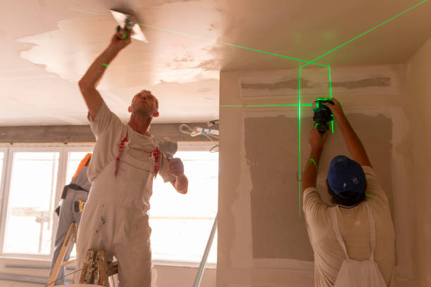 Best Environmental Consulting for Mold Prevention  in Mcconnelsville, OH