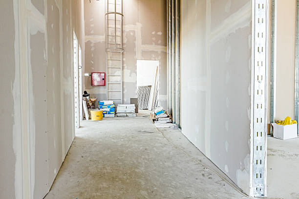Best Environmental Consulting for Mold Prevention  in Mcconnelsville, OH